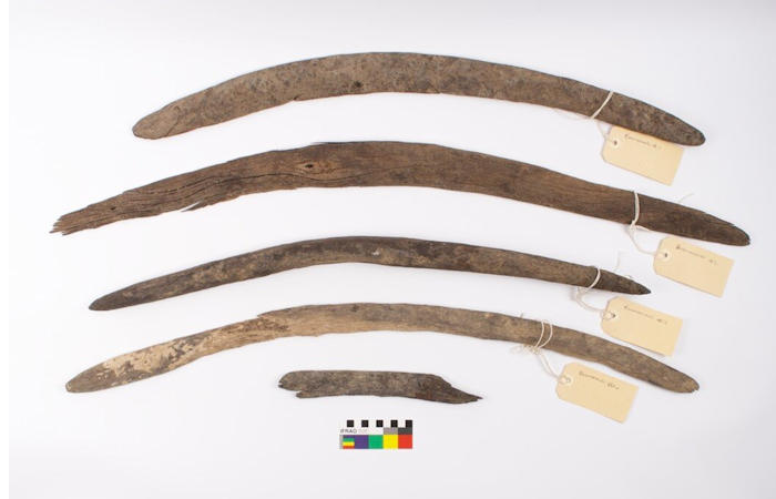 Коллекция редких древних бумерангов проливает новый свет на прошлое Австралии