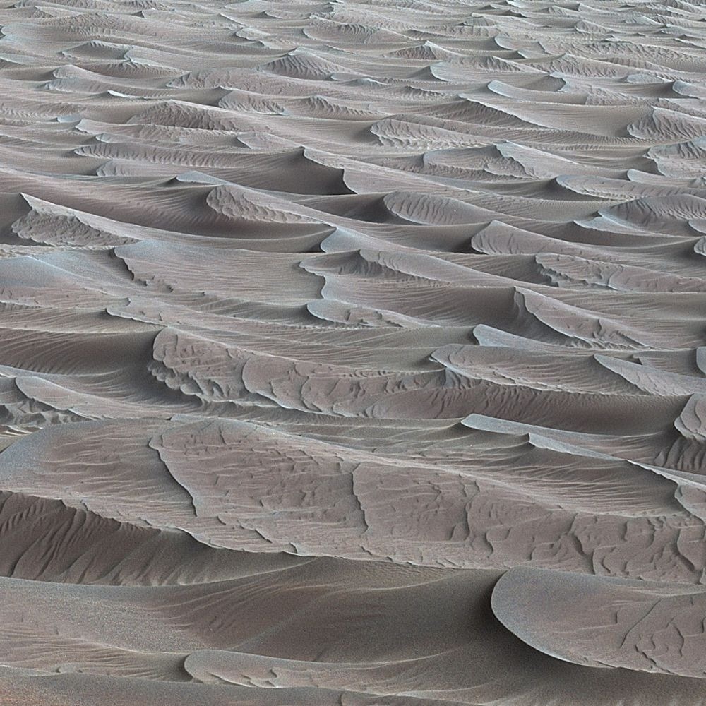 Марсоход Curiosity собрал образцы с дюн Багнольд (показаны на этом изображении) и обнаружил неожиданные органические молекулы на Марсе. Предоставлено: НАСА / Лаборатория реактивного движения-Калтех.