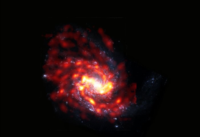 Спиральная галактика NGC 4254 входит в число тысяч галактик, живущих и умирающих в результате экстремальных физических процессов в скоплении Девы. Галактика видна здесь по радио от ALMA с молекулярным газом в красном / оранжевом цвете и в оптическом канале космического телескопа Хаббла со звездами в белом / синем цвете. Предоставлено: АЛМА (ESO / NAOJ / NRAO) / S. Дагнелло (НРАО)