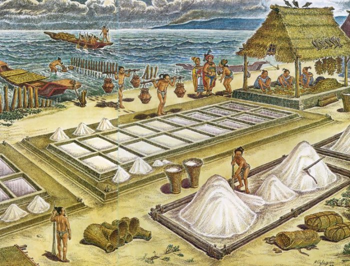 Обнаружены жилища соляных рабочих на подводной стоянке майя
