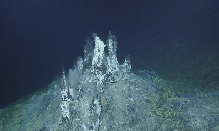 Дымовая труба из гидротермального жерлового поля Си Клифф, расположенного на глубине более 8 800 футов (2700 метров) под поверхностью моря на подводной границе тектонических плит Тихого океана и Горда. Предоставлено: Ocean Exploration Trust.