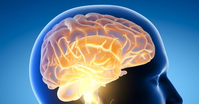 10 главных мифов о человеческом мозге