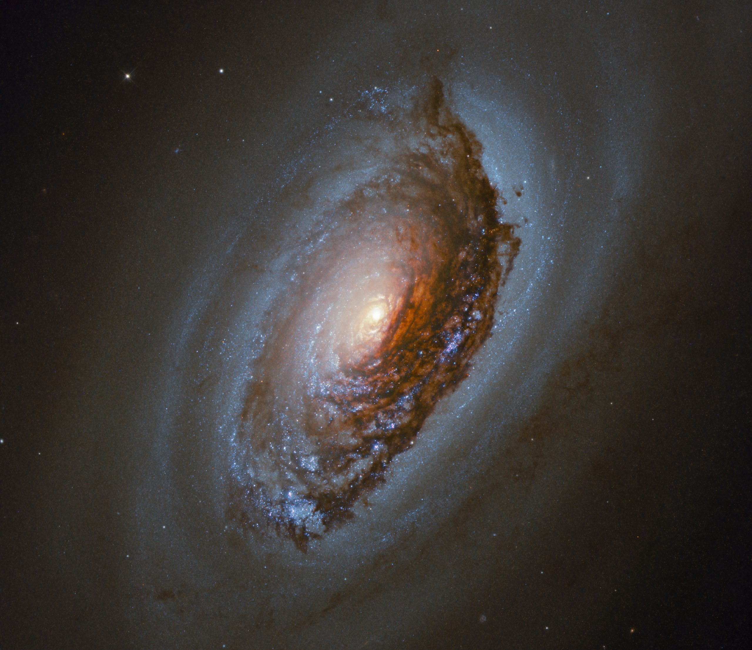 На октябрьском снимке изображена спиральная галактика NGC4826, которая расположена в 17 миллионах световых лет от Земли. Предоставлено: ЕКА / Хаббл и НАСА, Дж. Ли и группа PHANGS-HST.