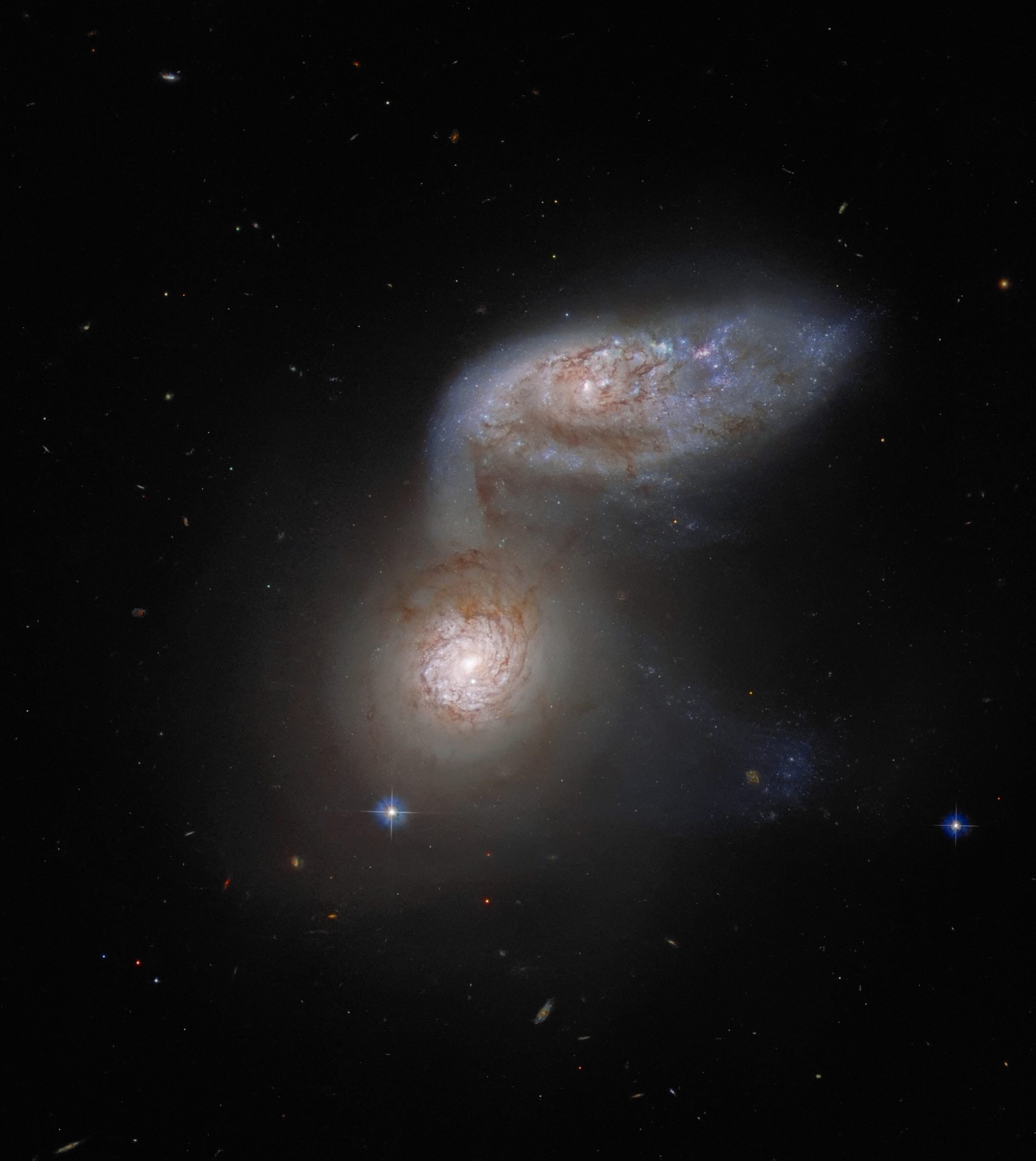 Еще один интересный пример взаимодействующих галактик на ноябрьском снимке - галактики NGC 5953 и NGC 5954, известные под общим названием «Апрель 91». Фото: ESA / Hubble & NASA, J. Dalcanton