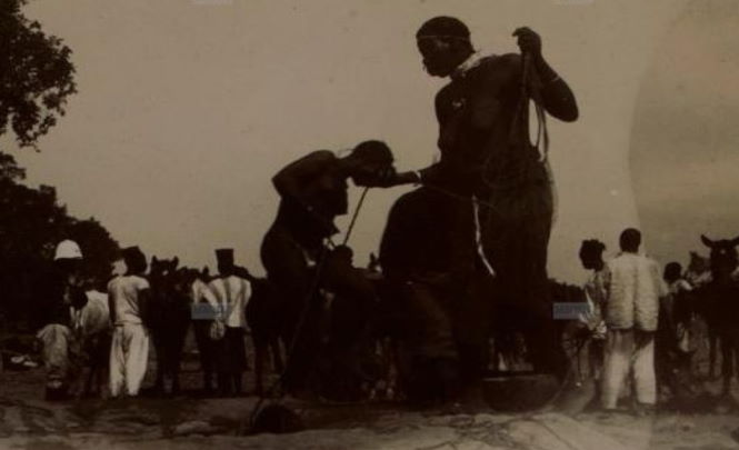 На старинной фотографии запечатлели Великанов в Южной Африке