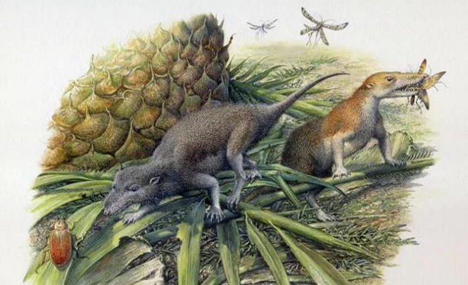 Жили ли наши предки вместе с динозаврами