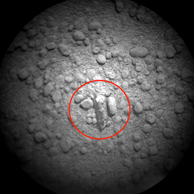 Марсоход обнаружил на марсианской равнине яйца Чужих.