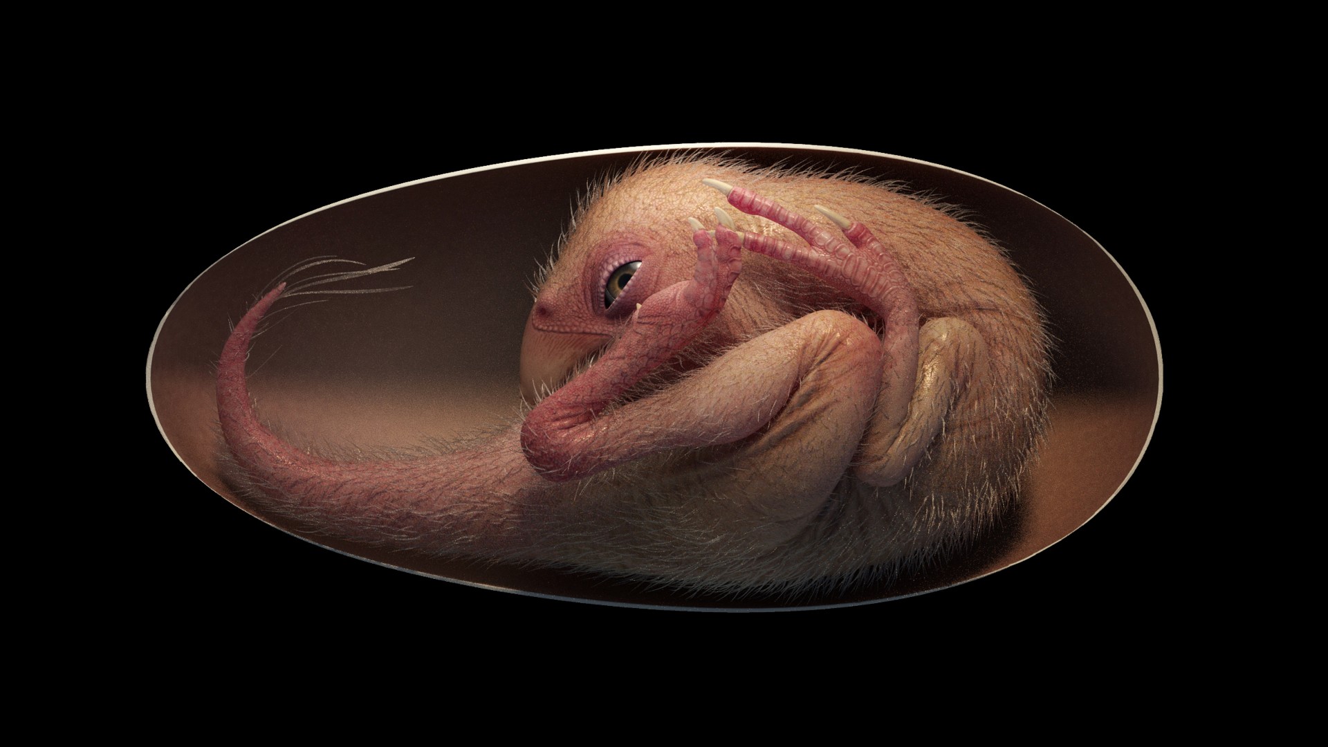 Реконструкция динозавра в яйце по имени Малыш Инлян. Предоставлено: Shoulin Animation.