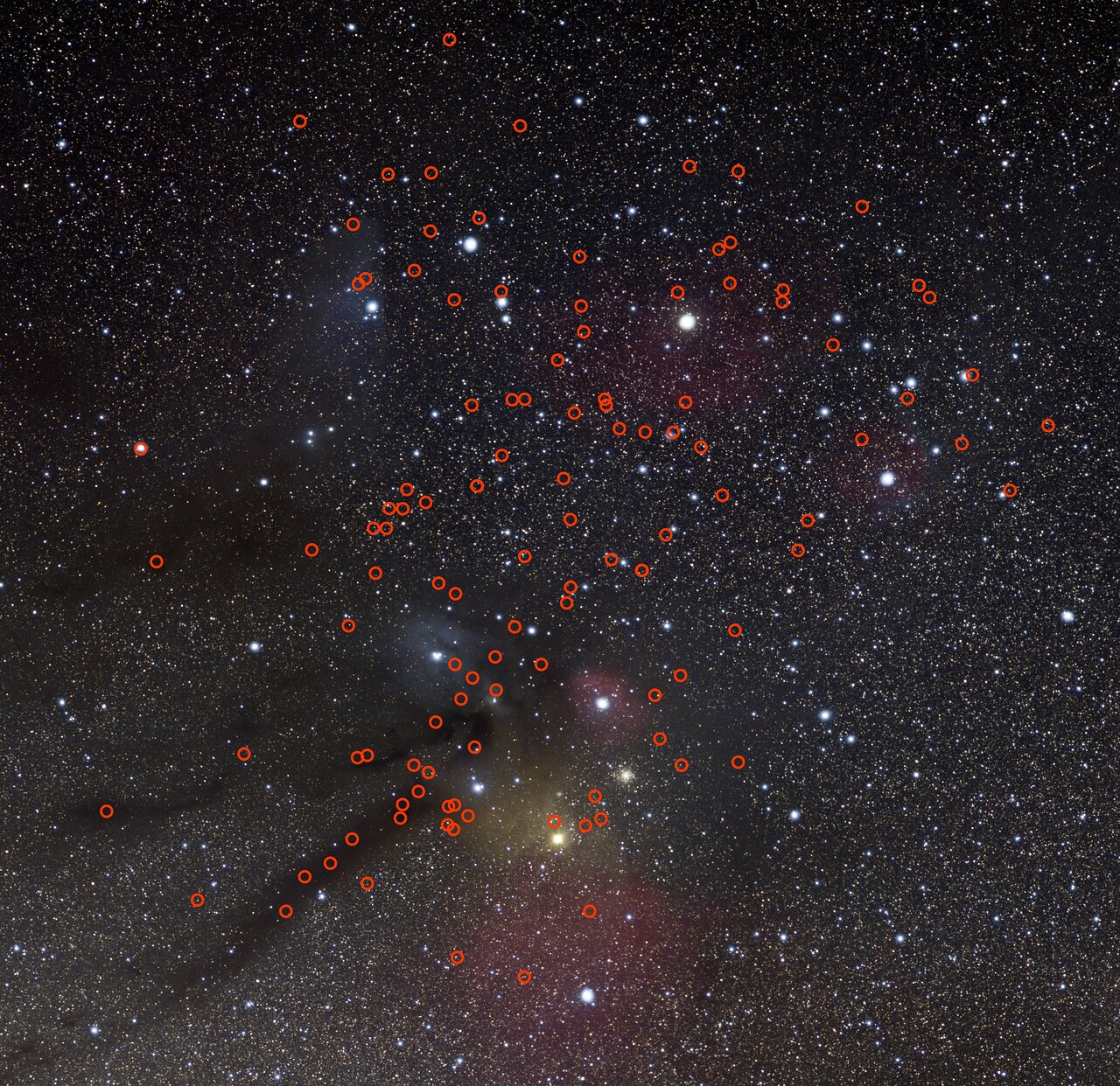 Расположение 115 потенциальных планет-сирот, обнаруженных ближе к вершине созвездия Скорпиона и Змееносца. Предоставлено: Н. Райзингер (skysurvey.org), ESO.