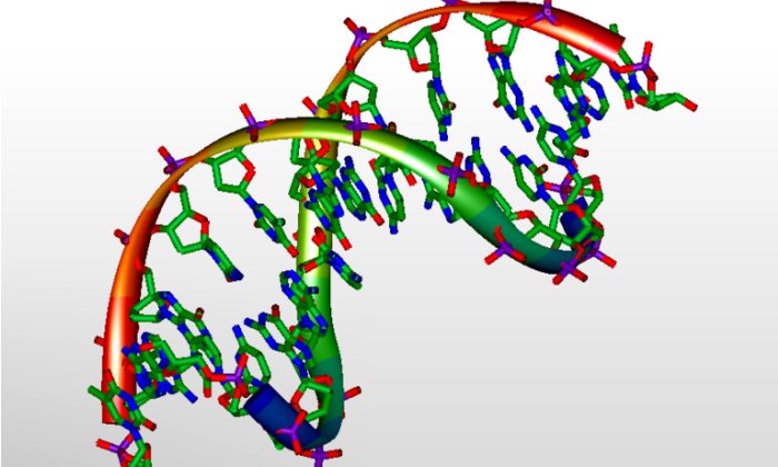 3D модель ДНК. 