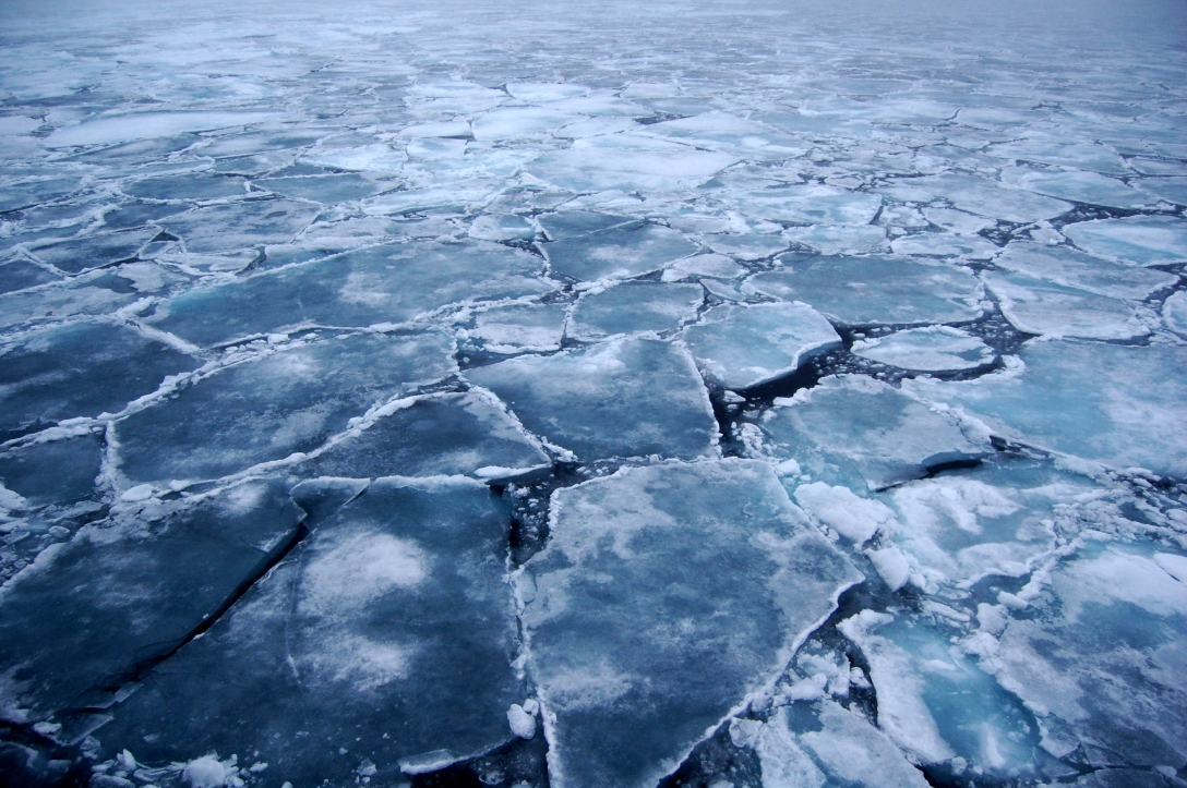 Лед, Арктика