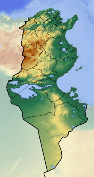 Теория Тунисской Атлантиды - под песками Африки!