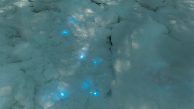 В Арктике выпал снег с голубыми примесями. Химтрейлы обновили?
