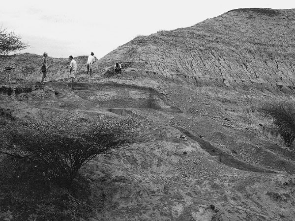 Место обнаружения останков Omo I Homo Sapiens в 1967 году. Фото: Fleagle et al.