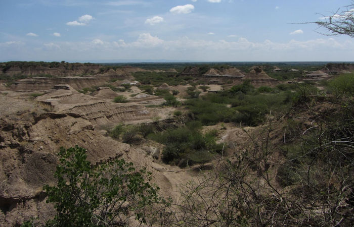 В Восточной Африке обнаружены останки человека возрастом 230 000 лет