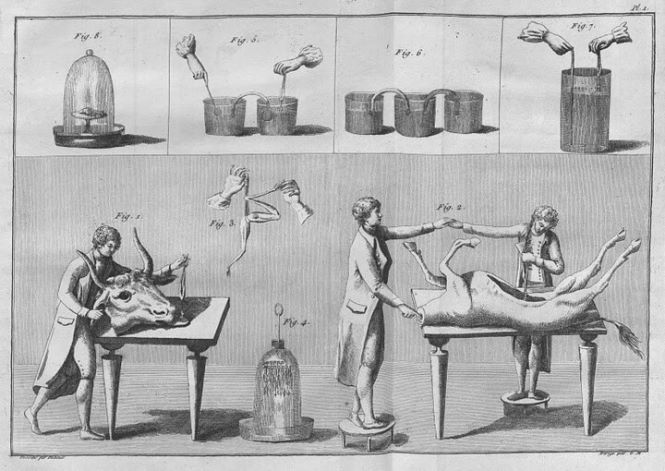 «Электрические пляски» и жуткие эксперименты по воскрешению людей учёного, который стал прототипом Виктора Франкенштейна