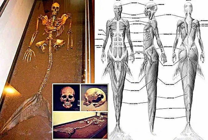 Странный экспонат Национального музея Дании. Подлинная история