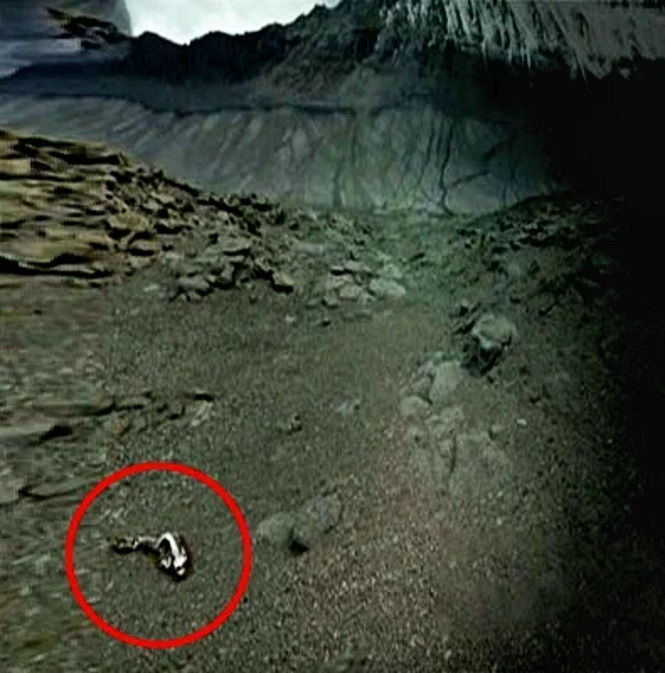 На снимках Антарктиде был обнаружен загадочный скелет, древнего животного