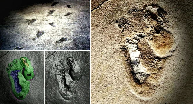 5 скрытых истин о прошлом человечества, которые не признает археология