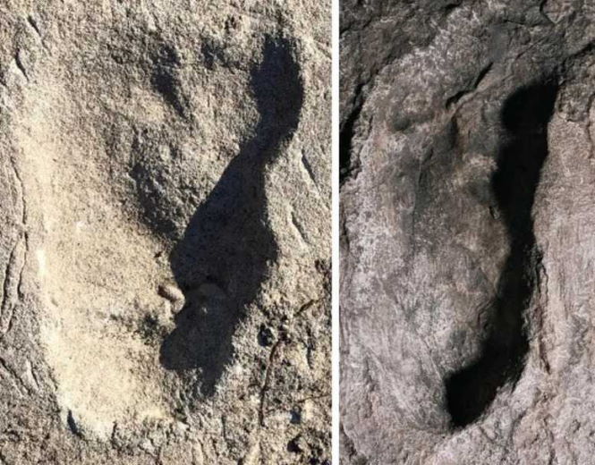 Следы Лаэтоли: Кто оставил эти следы в Танзании 3,6 млн лет назад?