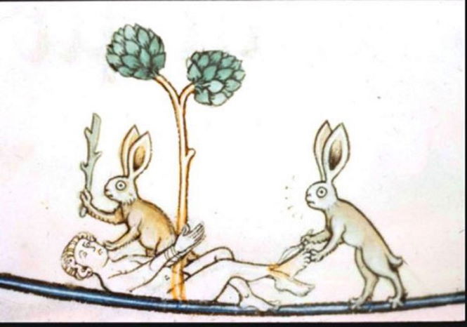 Кролики-убийцы наводили ужас на страницах средневековых манускриптов