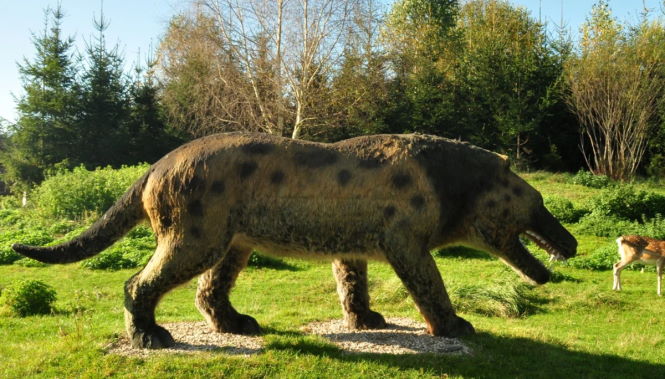 Жеводанский зверь: огромный волк или оборотень?