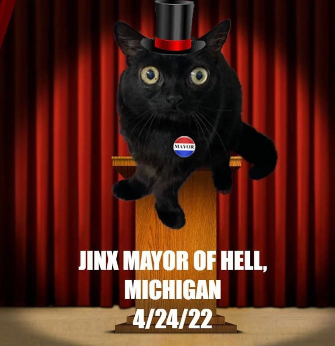 Чёрная кошка с огромными глазами и кривыми лапами, которая стала "Мэром Ада"