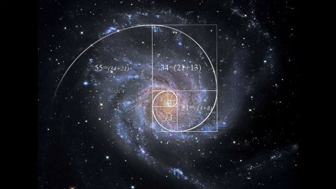 Почему 1.61 называют кодом Бога и самым важным числом во Вселенной