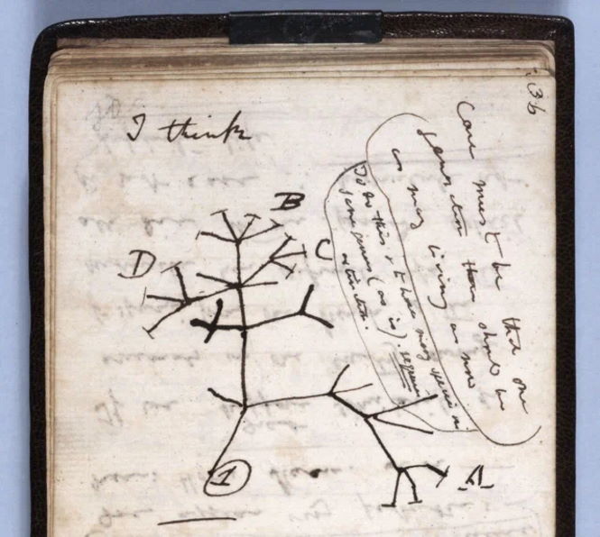 Тайна украденных записных книжек Чарльза Дарвина