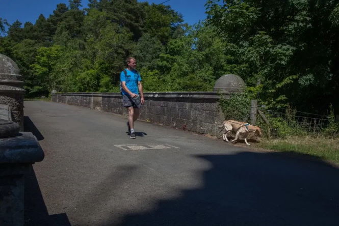 Тайна моста Овертон, с которого спрыгнуло более 600 собак