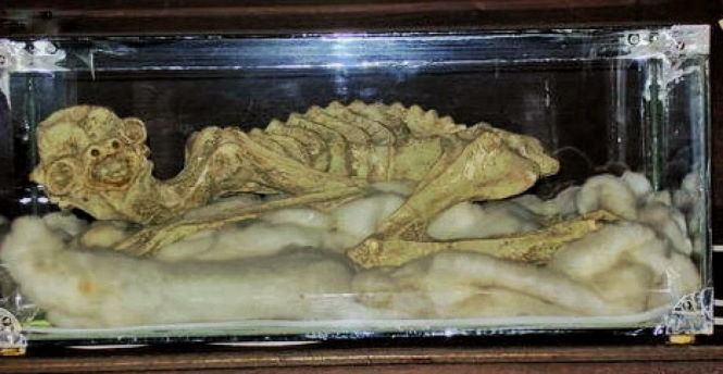 Каппа - загадочный криптид, мумии которого можно увидеть по всей Японии