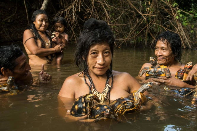 Голландские исследователи обнаружили в Амазонии племя карликовых рептилоидов