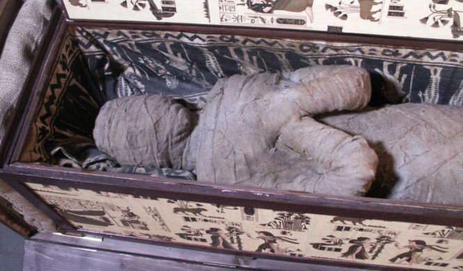 Мальчик нашёл мумию на чердаке дома своей бабушки