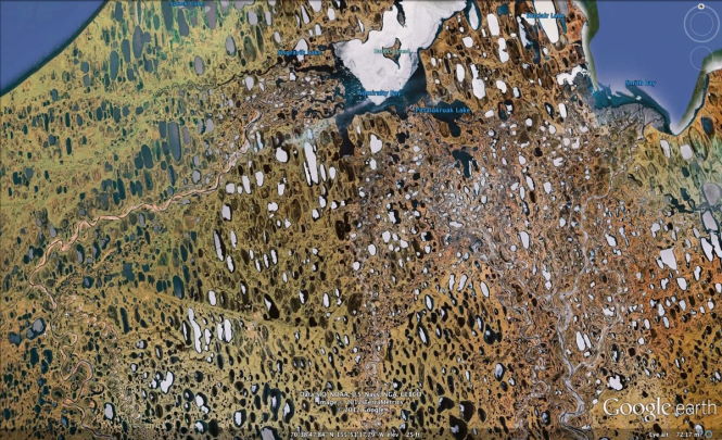 Откуда взялись загадочные «Каролинские впадины» – тысячи овальных болот вдоль атлантического побережья США