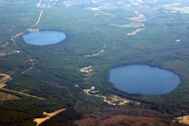 Откуда взялись загадочные «Каролинские впадины» – тысячи овальных болот вдоль атлантического побережья США