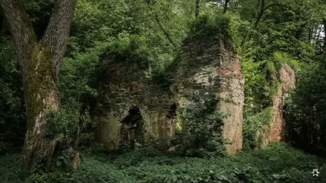 От монстров в лесах до древних городов в джунглях: тайны, прятавшиеся в дикой природе