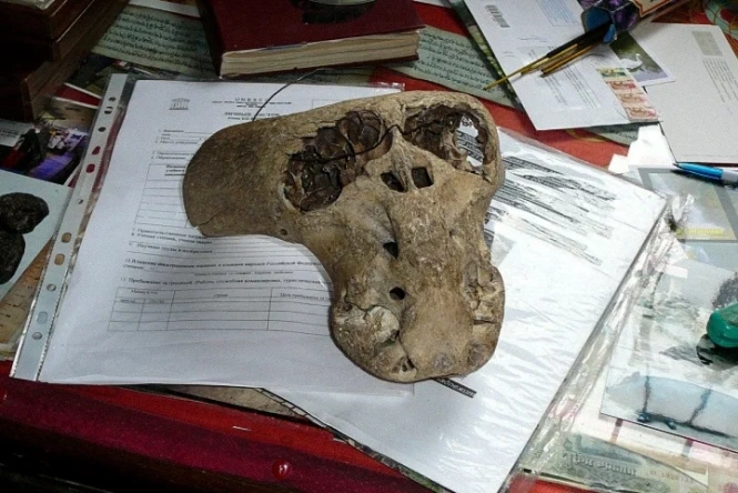 Что за черепа прямоходящих древних нечеловекоподобных существ найдены в Адыгее