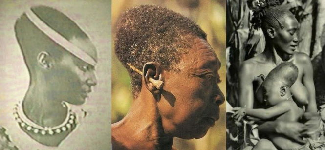 Homo capensis: гибриды человека, которые нами управляют