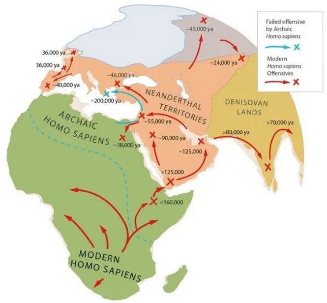 Война за планету между людьми и неандертальцами длилась 100 000 лет