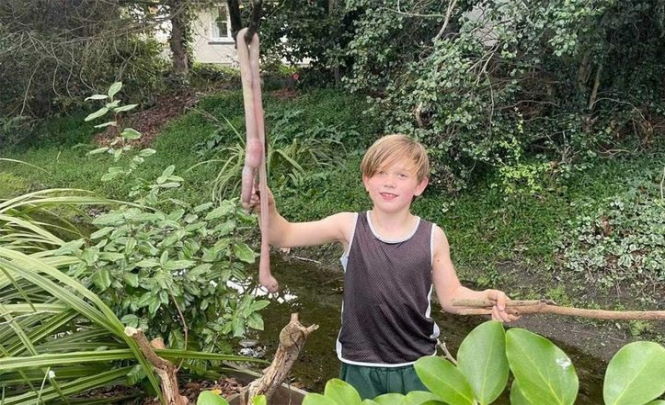 Мальчик нашел возле своего дома гигантского дождевого червя