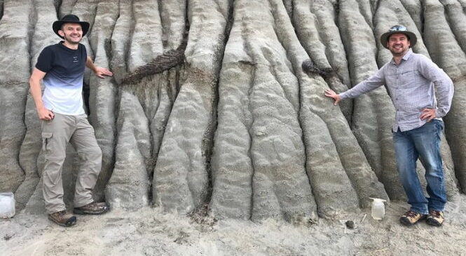 Торчащий из скалы хвост динозавра обнаружили палеонтологи