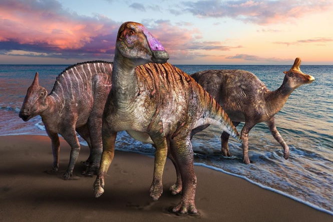 Торчащий из скалы хвост динозавра обнаружили палеонтологи