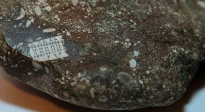 Ученые разгадали тайну «микрочипа», вживленного в скалу возрастом 450 миллионов лет