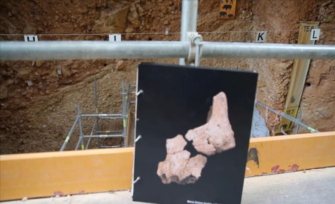 Кости человека которым 1.4 миллиона лет найденные на севере Испании могут переписать историю человечества