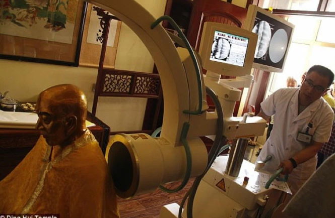 Мозг 1000-летней мумии буддийского монаха оказался живым