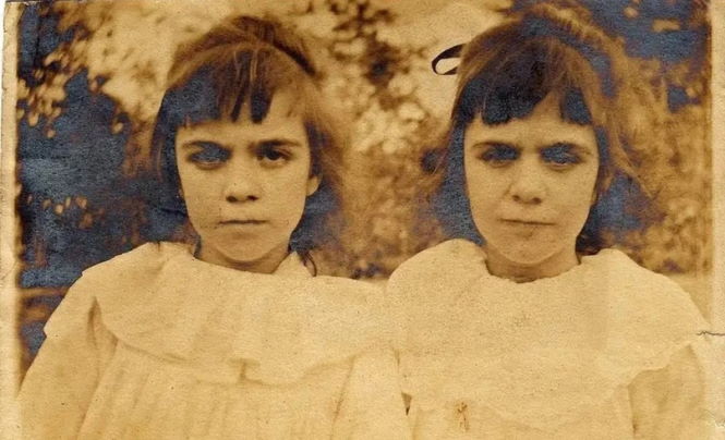 Реинкарнация: Невероятный случай с близнецами Поллок
