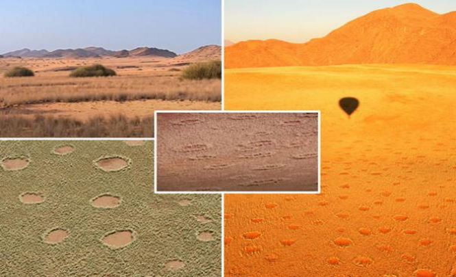 Загадочные круги в африканской пустыне