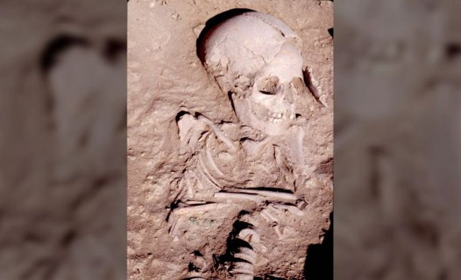 Ученые обнаружили череп, доказывающий существование древнего народа из легенд