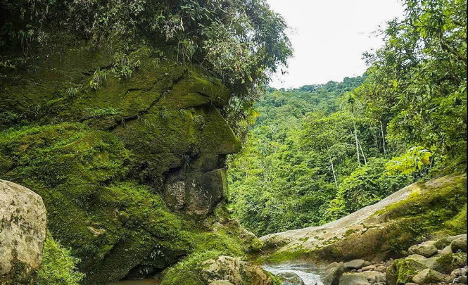 Огромное каменное лицо в джунглях указывает путь к великому городу древнейшей цивилизации