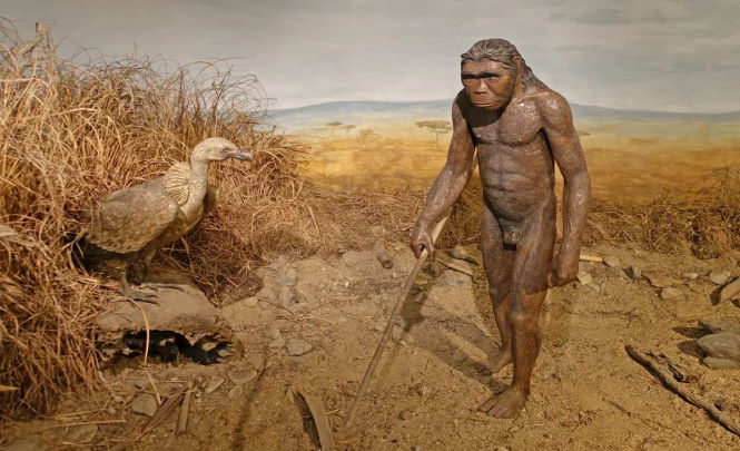 Человеческие следы возрастом 3,6 и 5,7 млн лет - новый удар по теории эволюции